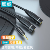 臻威 数码线材 10米公卡侬转6.5音频线 1000mm