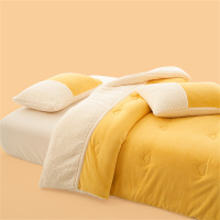 梦特娇羊羔绒被子冬被小清新奶茶啵啵加厚保暖被芯冬天宿舍学生