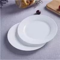 TENDZONE 大白瓷盘10寸