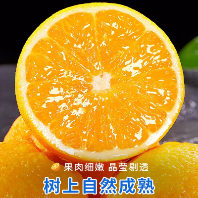 [西沛生鲜]正宗伦晚脐橙 净重3斤 单果70mm左右 橙子水果新鲜当季整箱斤果冻甜橙春橙伦晚脐橙