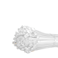 山泽 自锁式尼龙扎带小号 2.5*150mm 100根