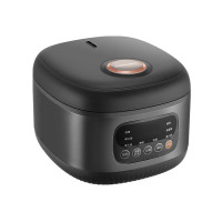 荣事达(Royalstar) 小钢炮系列 智能电脑煲 RFB-S30R