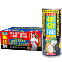 椰树 椰汁 正宗椰树牌椰子汁 植物蛋白饮料 245ml*24罐 整箱