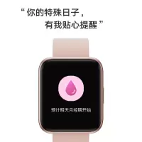 乐心健康手表 C1(黑色,银灰,蓝色,粉色)