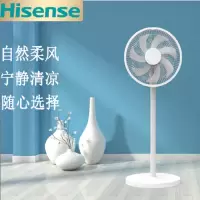 海信(Hisense)电风扇节能遥控落地扇家用大风扇学生宿舍摇头立式电扇 (遥控款) FLY-AN3088