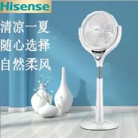 海信(Hisense)电风扇家用风扇升降落地扇立式电扇大风量遥控蒲扇台地两用台扇 白色FLY-AN3001