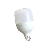 闻信LED 18w LED灯泡 单个装