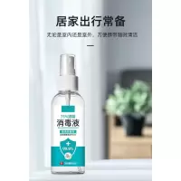喷雾消毒液100ml 十瓶/组