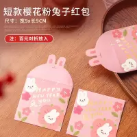 2023兔年新年过年春节门挂装饰品入户门挂饰门把手卧室挂件门口上 短款樱花粉兔子红包10个