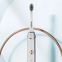 西屋(Westinghouse) 电动牙刷成人声波震动牙刷 情侣款电动牙刷 WT-505白