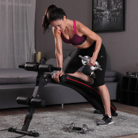 力动(RIDO) 仰卧板 仰卧起坐健身器材家用多功能腹肌训练健腹板 可折叠 TD20