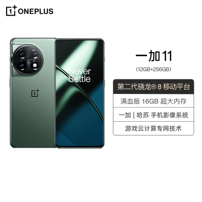 一加 11 12GB+256GB 一瞬青 5000mAh 超大电池 长寿版 100W 超级闪充 航天级金刚石散热系统 双环式对磁扬声器 全网通学生游戏拍照手机