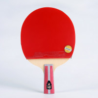乒兵球拍 红双喜乒乓球拍四星直排套装 1套