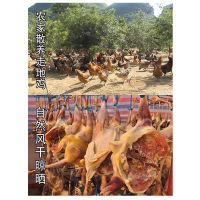 蜀禹祥农家散养走地鸡纯手工腌制咸味风干鸡