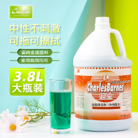 超宝全能清洗剂 3.8L 1桶