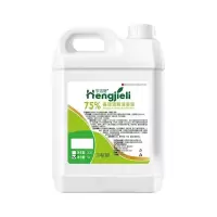 亨洁丽 75%酒精消毒液 5L 1桶(3桶起订)