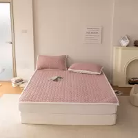 牛奶绒床垫床褥单人学生宿舍防滑床护垫冬季保暖加厚双人租房地铺