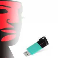 金士顿 u盘 256g U盘 1个