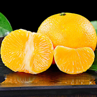 [西沛生鲜]福建新鲜甜桔柚 3斤装 大果 250-400g 桔柚 福建甜葡萄橘柚子庆元桔子新鲜应季水果 送开果器