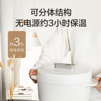 电饭煲N101多功能IH分体式一体机多功能电饭锅松下电饭锅智能电饭锅 SR-N101 2.9