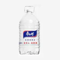 康师傅 包装饮用水 5L*1桶
