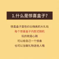[苏宁自营]zippo之宝打火机惊喜盒子火机盲盒原装正品煤油打火机盲盒