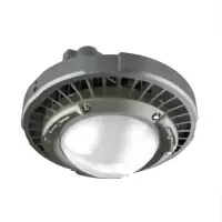 大猩猩LED防爆灯FBP8101/A-100