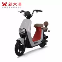 派乐/PALLA 乐颜 成人48V铅酸电池男女代步新大洲助力电动自行车 星光莫奈灰