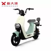 新大洲派乐/PALLA 乐颜 成人48V24Ah锂电池男女代步助力电动自行车 素颜绿