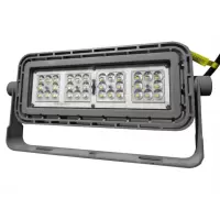 大猩猩LED免维护投光灯SFF704A/B-100