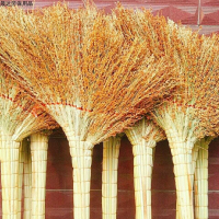 金丝草扫帚笤帚