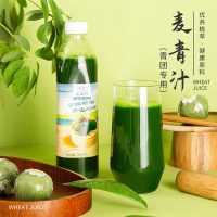 乔康麦青汁500ml青团专用的麦苗汁家用小麦汁清明果青汁艾草汁粉 [粉状]青外艾草细粉40g