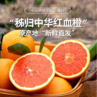 [五个农民]湖北秭归红橙中华血橙当季新鲜水果橙子2.5kg