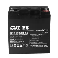 商宇/CPSY GW1224 不间断电源(UPS) 在线式 24Ah