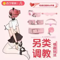 久爱SM道具床上绑带捆绑束缚套装手拍手脚铐成人情趣性爱用品玩具毛绒皮六件套粉色(盒装)