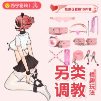 久爱SM道具床上绑带捆绑束缚套装手拍手脚铐成人情趣性爱用品玩具毛绒皮十件套粉色(盒装)