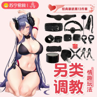 久爱SM道具床上绑带捆绑束缚套装手拍手脚铐成人情趣性爱用品玩具毛绒皮十三件套黑色(盒装)