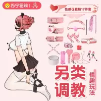 久爱SM道具床上绑带捆绑束缚套装手拍手脚铐成人情趣性爱用品玩具毛绒皮十七件套粉色(盒装)