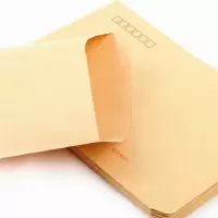 ZL 6号牛皮无线信封 100个/包 一包装