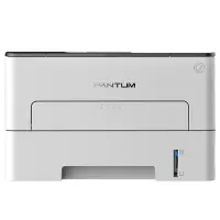 打印设备 奔图/PANTUM P3019DW 激光打印机 A4 黑白