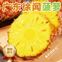 [西沛生鲜]广东徐闻菠萝 大果 净重9斤 箱装 新鲜水果 4-5个 产地直发 冷藏国产热带水果 西沛