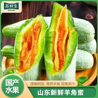 [苏鲜生]山东羊角蜜甜瓜 博洋61号 净重4.5斤 水果新鲜当季脆蜜瓜香羊角脆整箱
