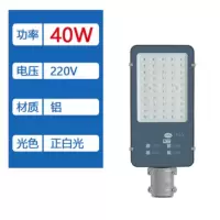 Led路灯头 40W 220V 正白光