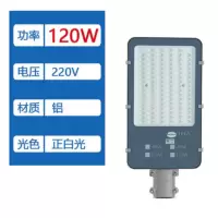 Led路灯头 120W 220V 正白光
