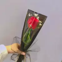 女神节单只玫瑰花