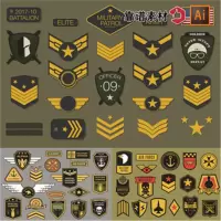3543符号一(迷彩章) 单位:组