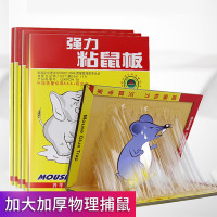 绿叶 家用粘鼠贴板