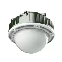 大猩猩LED防爆灯FBF712/C-SN-70
