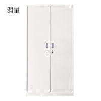 渭星加厚二门钢制更衣柜员工柜铁皮职工储物柜带锁存包柜鞋柜