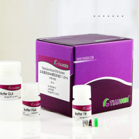 DNA Ladder 50bp 100bp 200bp 500bp 1kb plus DNA条带